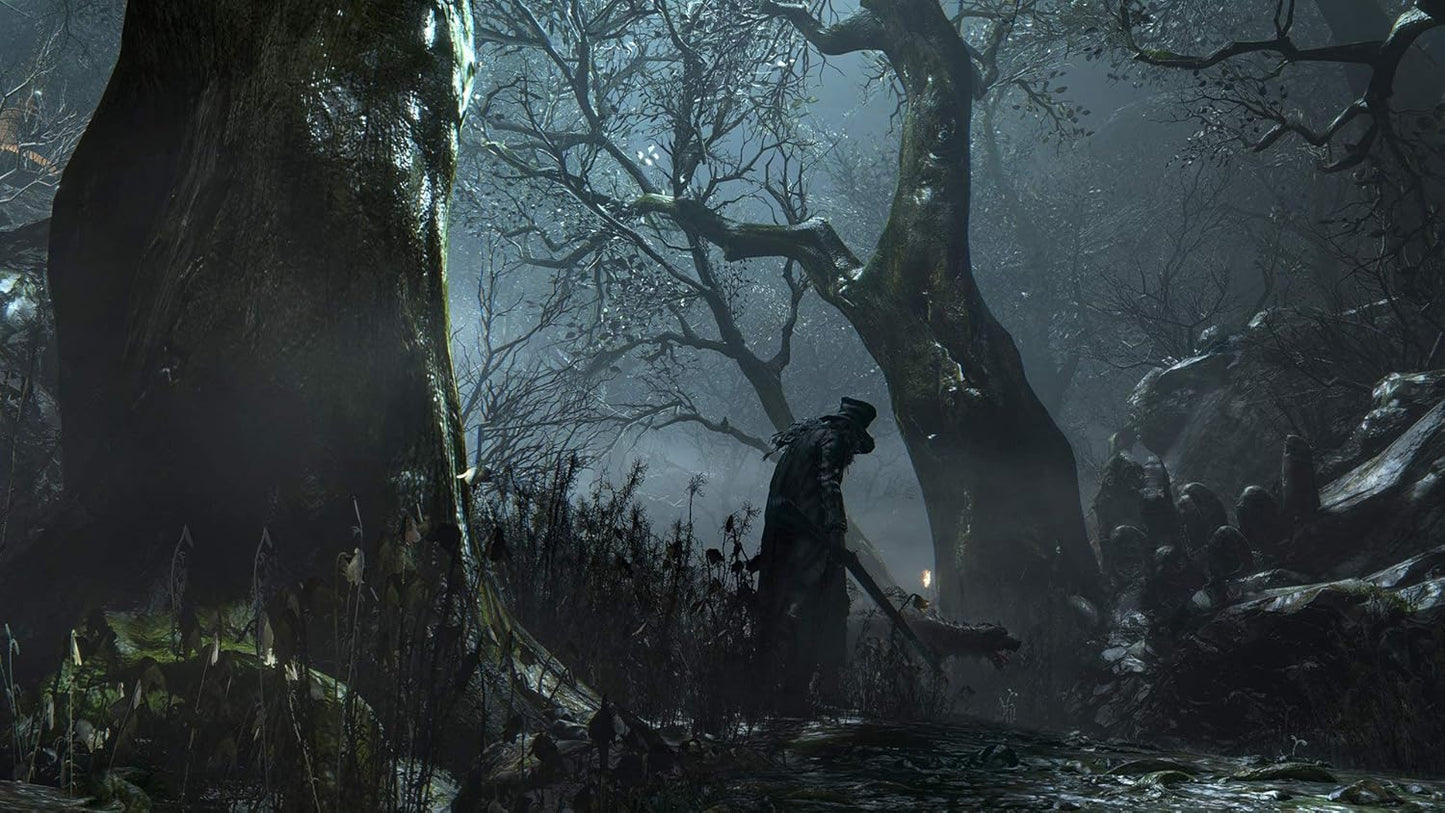 Bloodborne: Game of the Year